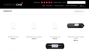 American CNG - Bluebird Bus CNG Tank Replacement Kit