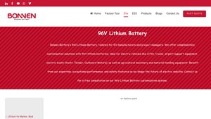 Bonne Batteries - 96V Lithium Battery