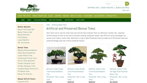 Bonsai Boy - Monterey Juniper Preserved Bonsai Trees
