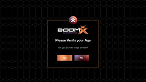 BoomX - 10 Beaker Water Pipe