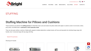 Brighi Group - Pillow and Cushion Stuffing Machines