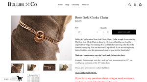 Bullies & Co. - Rose Gold Choke Chain