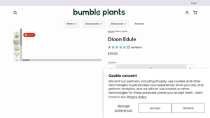 Bumble Plants - Dioon Edule