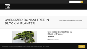CFA Design Group - Oversized Bonsai Tree in Block M Planter