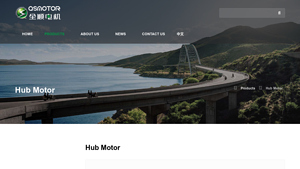 QS Motor - Hub Motors