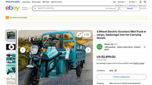Sanbengzi - 3 Wheel Electric Scooter Mini Truck