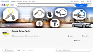 eBay - Automotive EFI Solutions