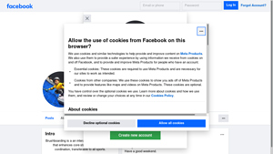 Facebook - Brushboarding Fitness Attraction