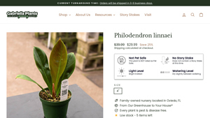 Gabriella Plants - Philodendron Linnaei