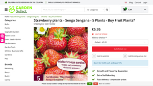 Garden Select - Strawberry Plants Senga Sengana