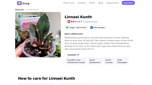 Greg - Philodendron Linnaei Kunth