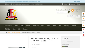 Felo - TORX-Industry Bit T17 x 73 mm