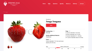 Senga Sengana - Aromatic Red Fruit Variety