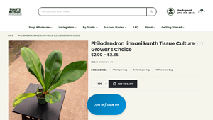 Plants Without Borders - Philodendron linnaei kunth Tissue Culture Grower's Choice