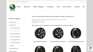 QSMotor - 12 Inch Hub Motor