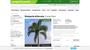 Rare Palm Seeds - Foxtail Palm