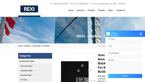Rexi Industries - Tinted Black Float Glass