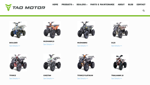 Tao Motor - Key Off-Road Vehicles