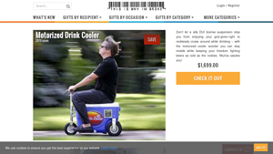 This Is Why I'm Broke - Electric Cooler with Bluetooth Speaker