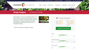 Vissers - Senga Sengana Strawberry